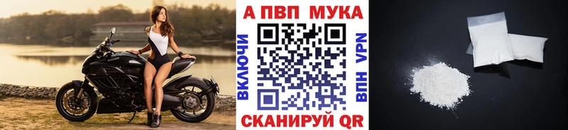 дарнет шоп Ишим блэк спрут ссылка A PVP мука