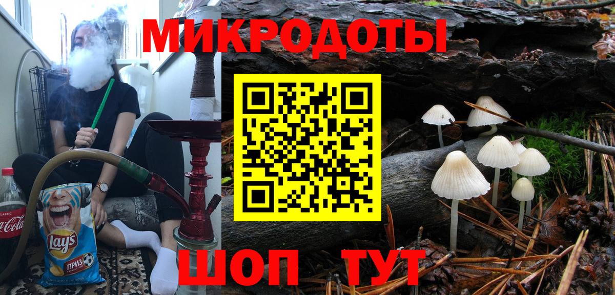Галлюциногенные грибы Psilocybine cubensis Ишим